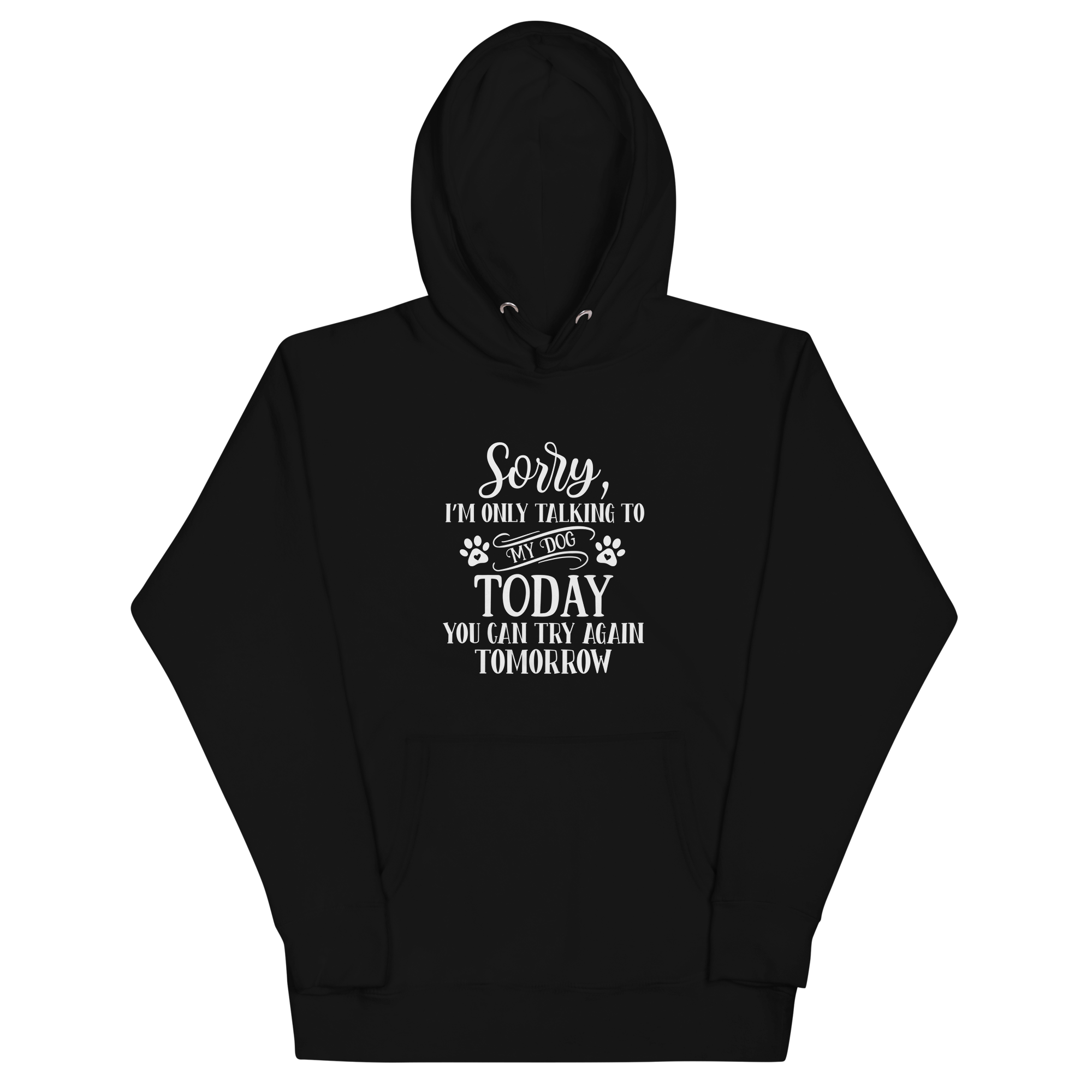 SORRY I'M ONLY TALKING TO MY DOG TODAY Hoodie