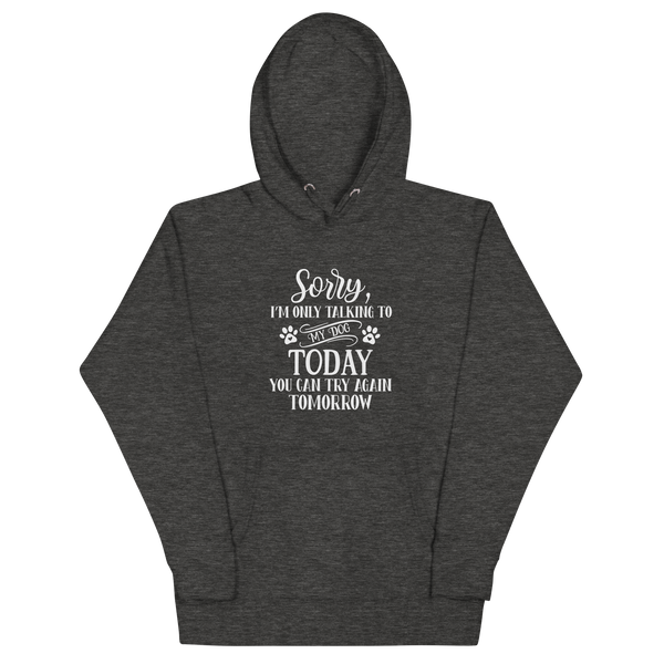 SORRY I'M ONLY TALKING TO MY DOG TODAY Hoodie