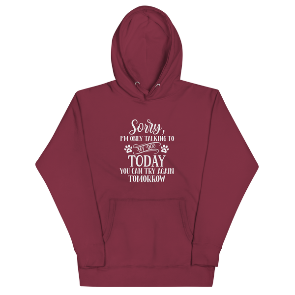 SORRY I'M ONLY TALKING TO MY DOG TODAY Hoodie