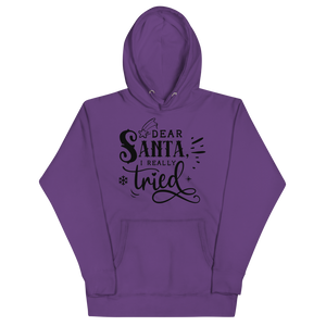 DEAR SANTA Hoodie