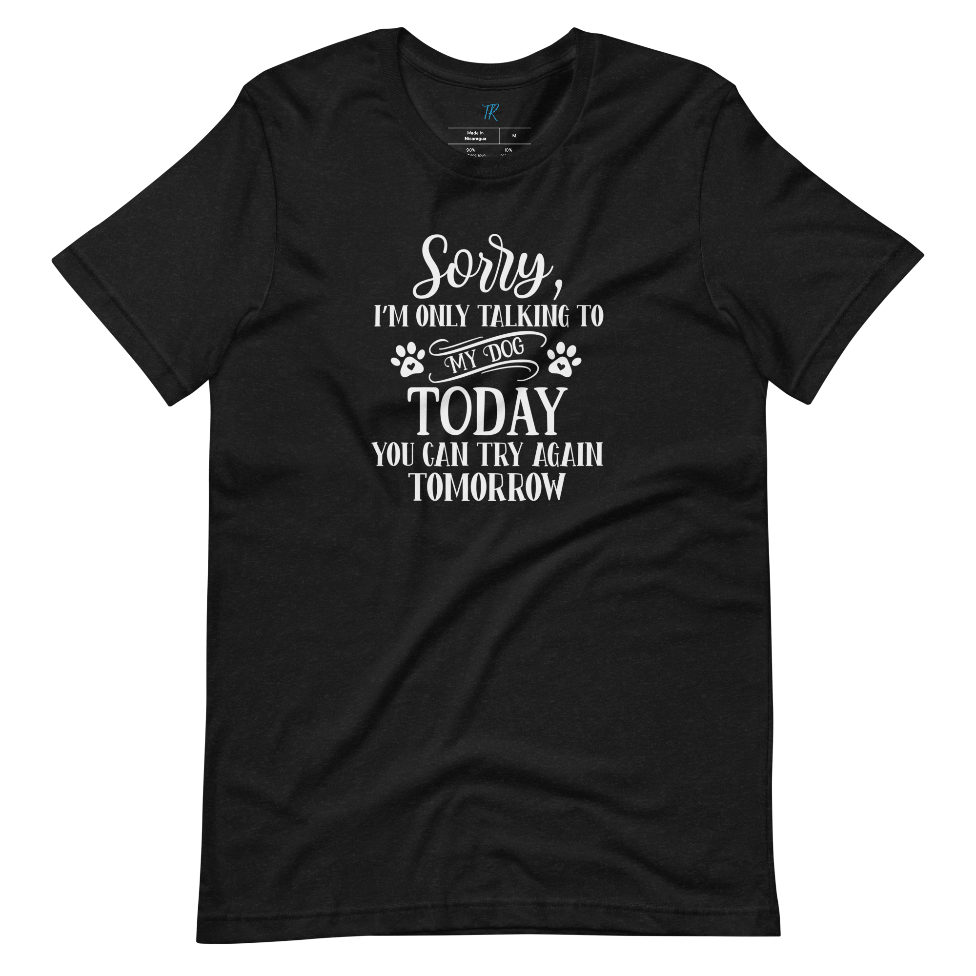 SORRY, I'M ONLY TALKING TO MY DOG TODAY T-Shirt